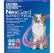 NEXGARD SPECTRA 15.1-30kg Purple - 3 pack
