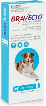 BRAVECTO Dog Spot On 20-40kg Blue - 1 pack