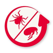 Worming, Flea &amp; Tick Treatment