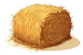 HAY / Shavings