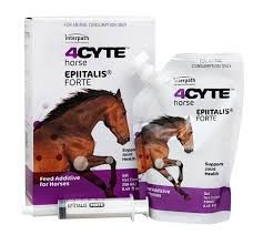 INTERPATH 4Cyte Equine Gel - 250ml