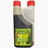 APPARENT Woody - 1L
