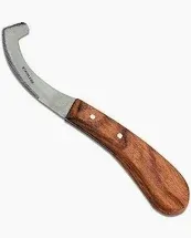 BB Bot Egg Knife Wooden Handle