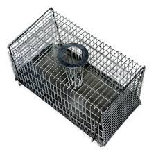 BB - Multi-Catch Mouse Trap Cage