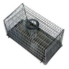 BB Multi-Catch Rat Cage Trap