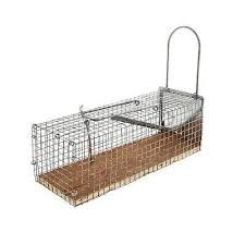 BB Rat Trap Cage - 27cm