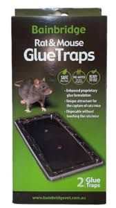BB Rat &amp; Mouse Glue Traps - Large