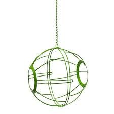 BB Vegetable Basket - Poultry