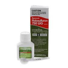 APPARENT Halosulfuron 750 WG - 25g