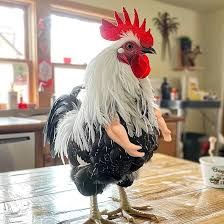 Awesome Chicken Tough Arms