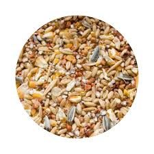 AGM Parrot Mix - 5kg