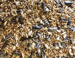 AGM Peachface Mix - 5kg