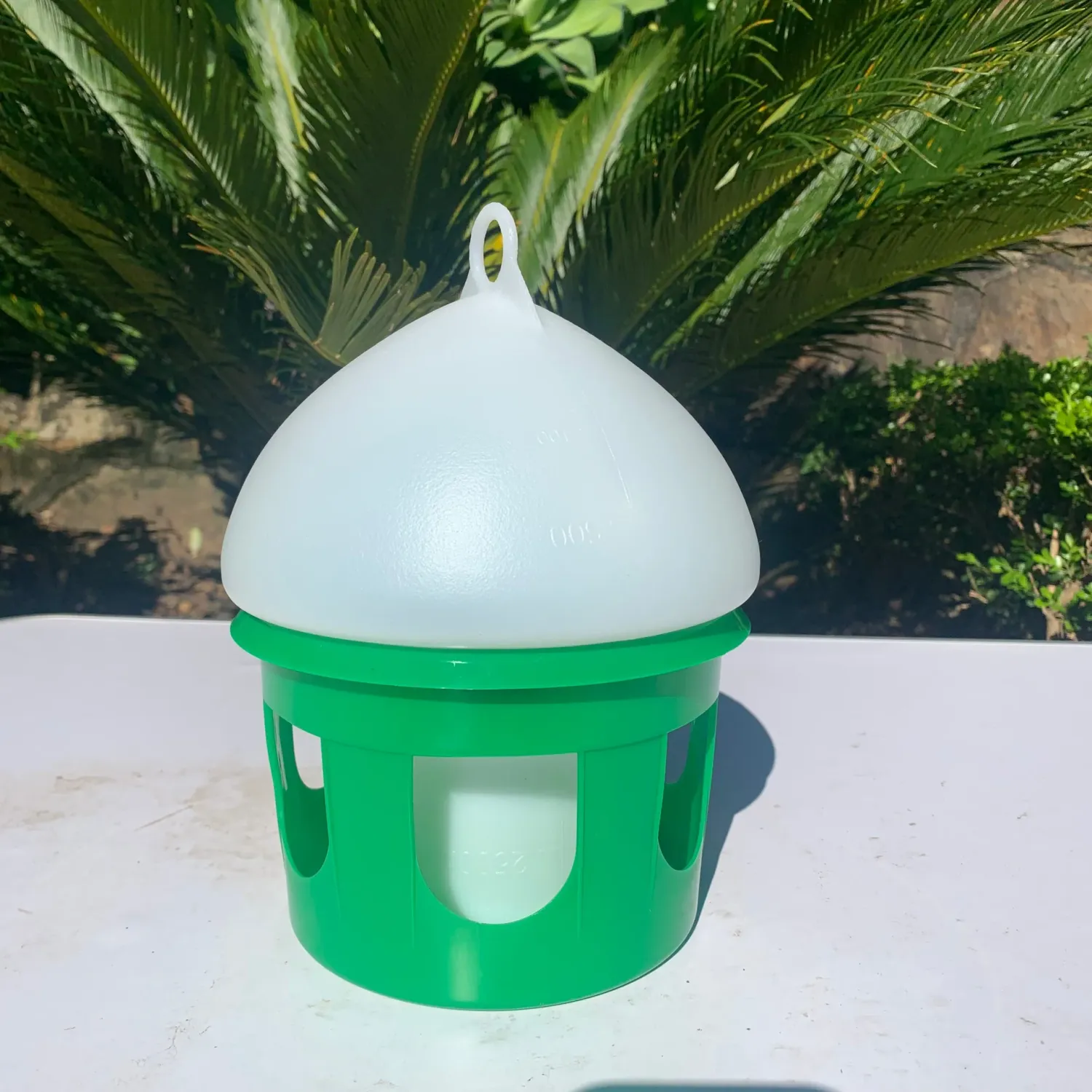 AUSTWIDE Pigeon &amp; Poultry Drinker - 6.5L