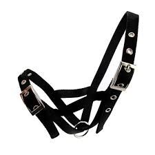 BB Cattle Halter Webbing - Calf