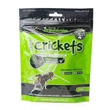 BB Dried Crickets - 100gm