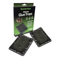 BB Mouse Glue Traps - Small