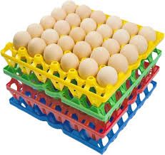 BB Plastic Poultry Egg Trays - Individual