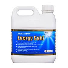 KOHNKE'S Energy Gold - 2L