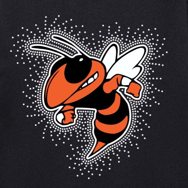 Mount Vernon Jackets Logo