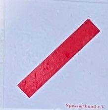 Beispiel Bilddatenbank: Fränkischer Marienweg Schöllkrippen - Michelbach