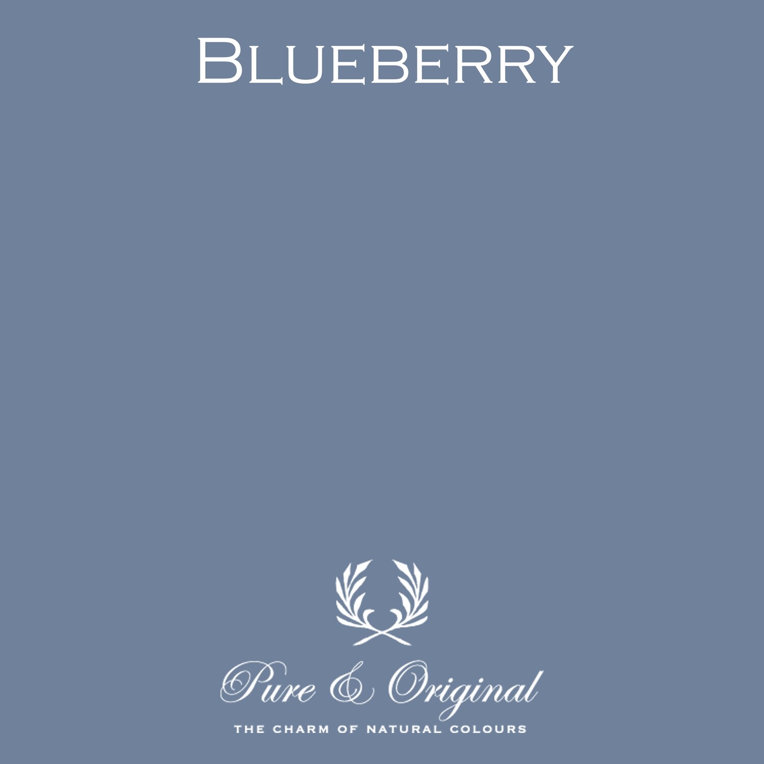 Blueberry Classico