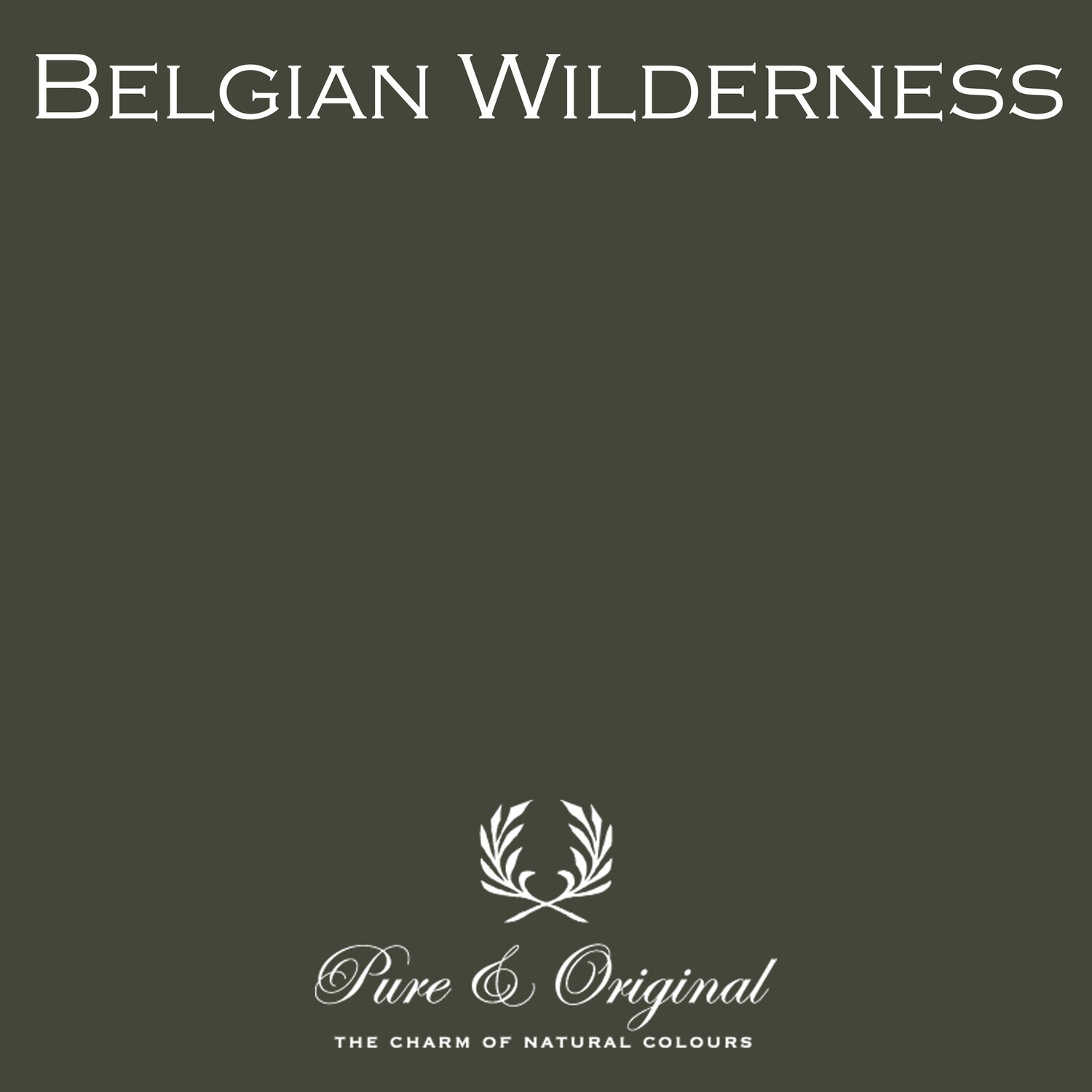 Belgian Wilderness Licetto