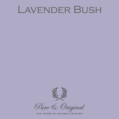 Lavender Bush Carazzo