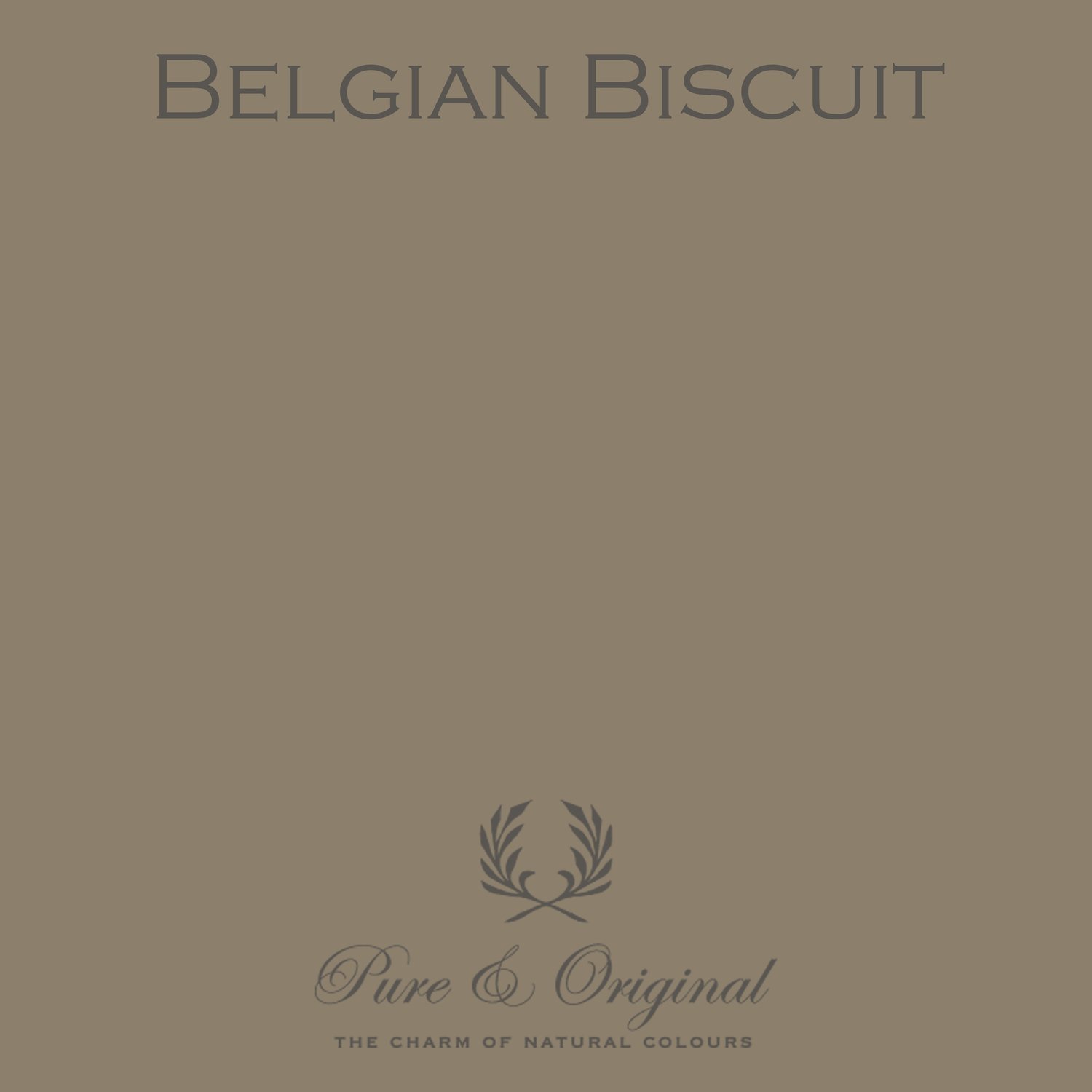 Belgian Biscuit Classico
