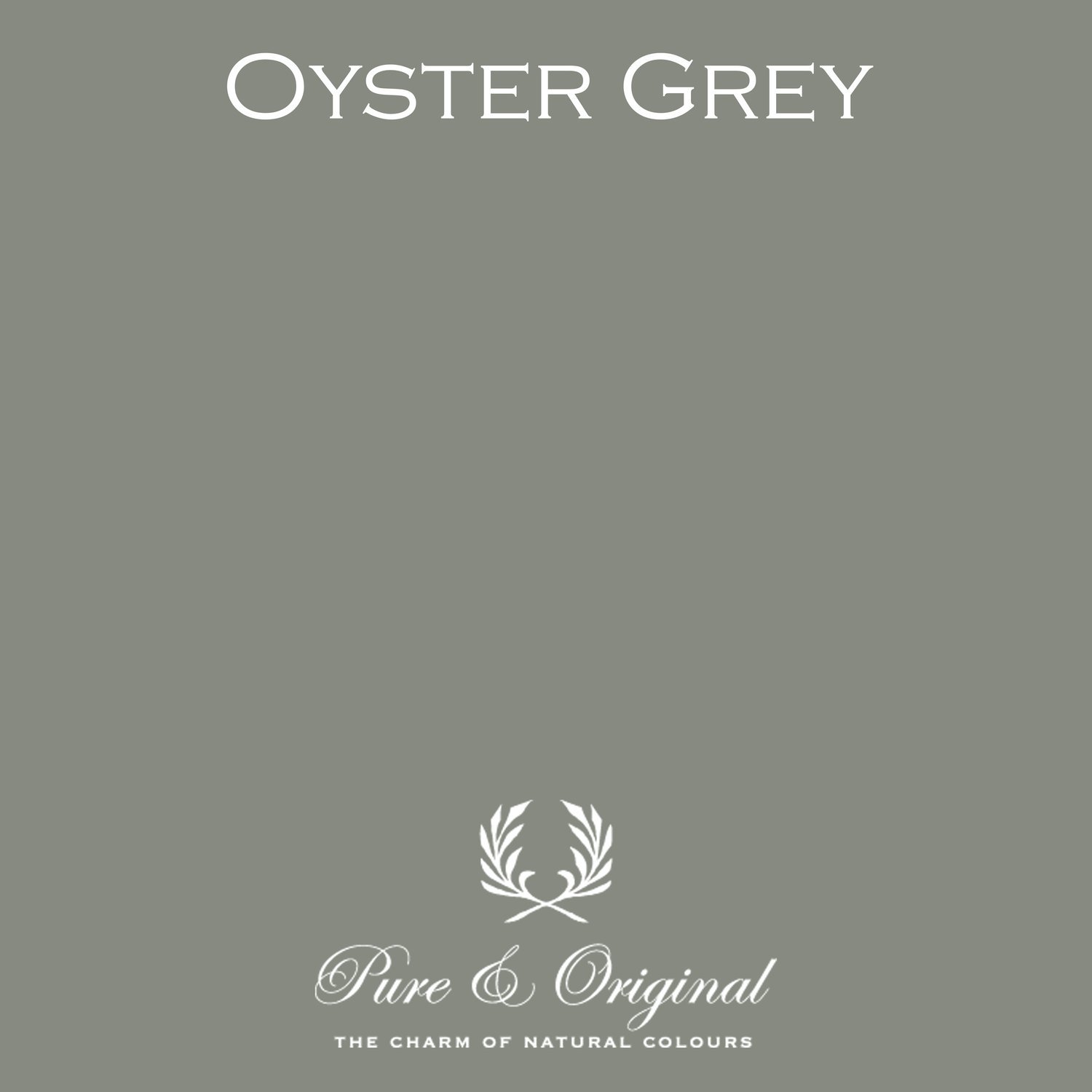 Oyster Grey Classico