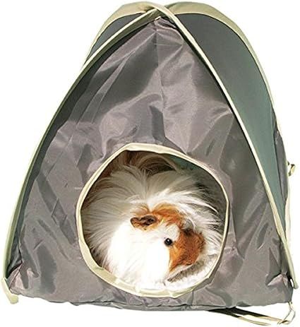 Rosewood Pop-Up Tent, Medium, Small Animal Activity Toy