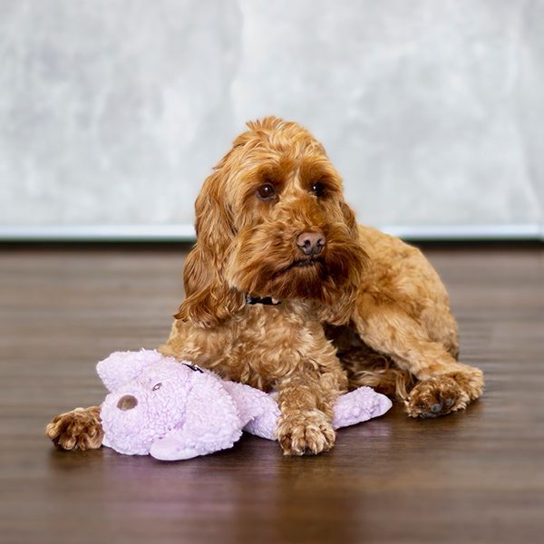 Pets and Wildlife Supplies