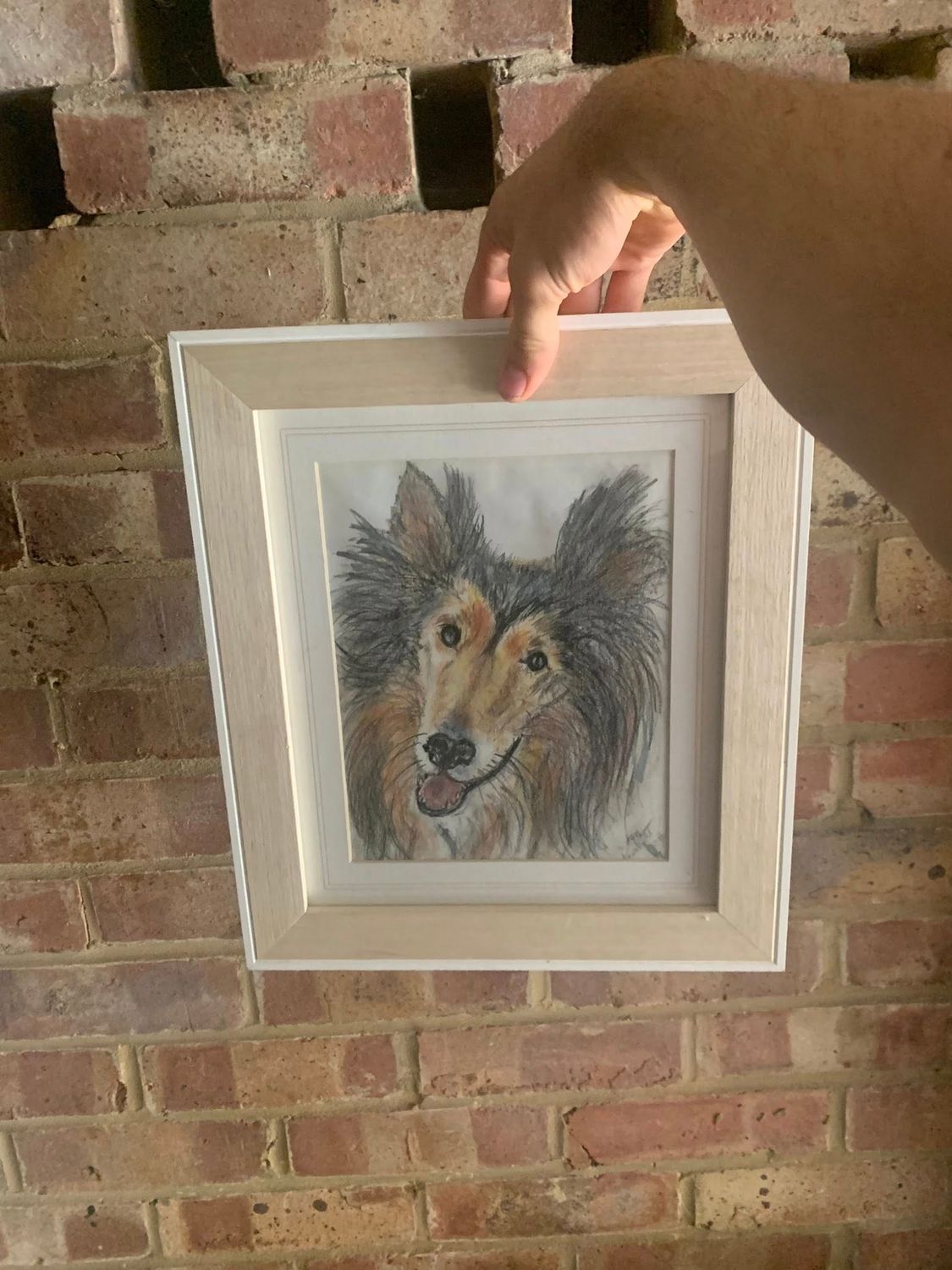 Medium Size Picture