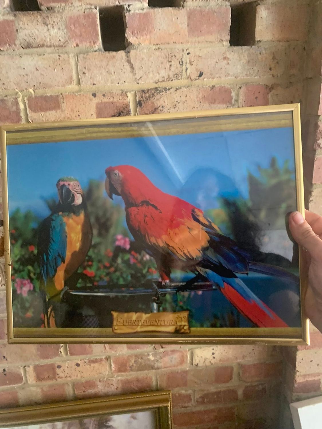 Medium Size Picture