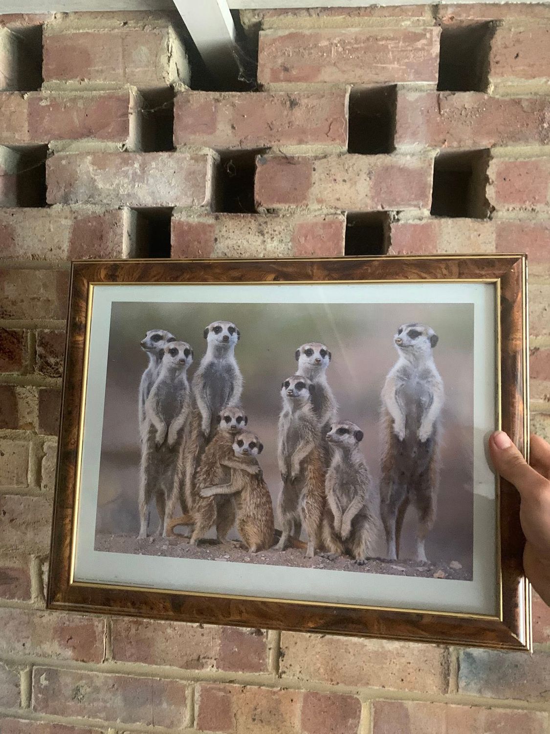 Medium Size Picture