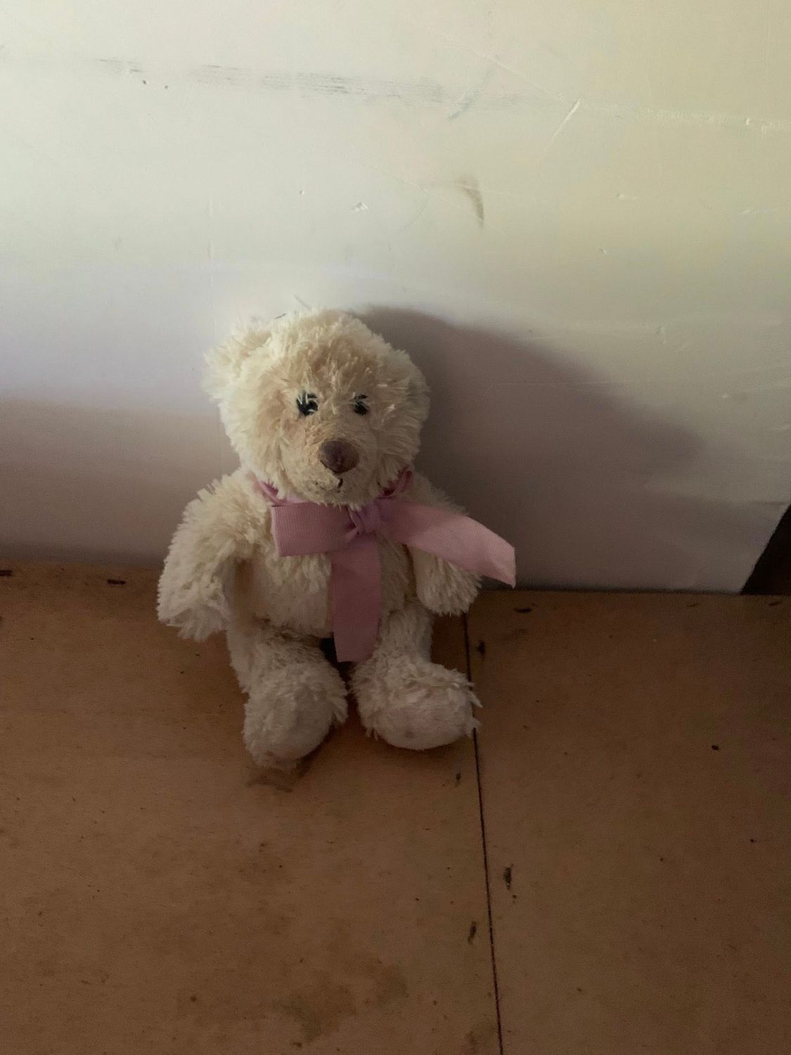 Teddy