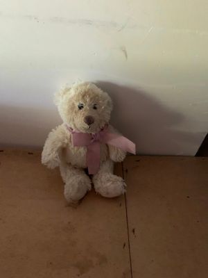 Teddy