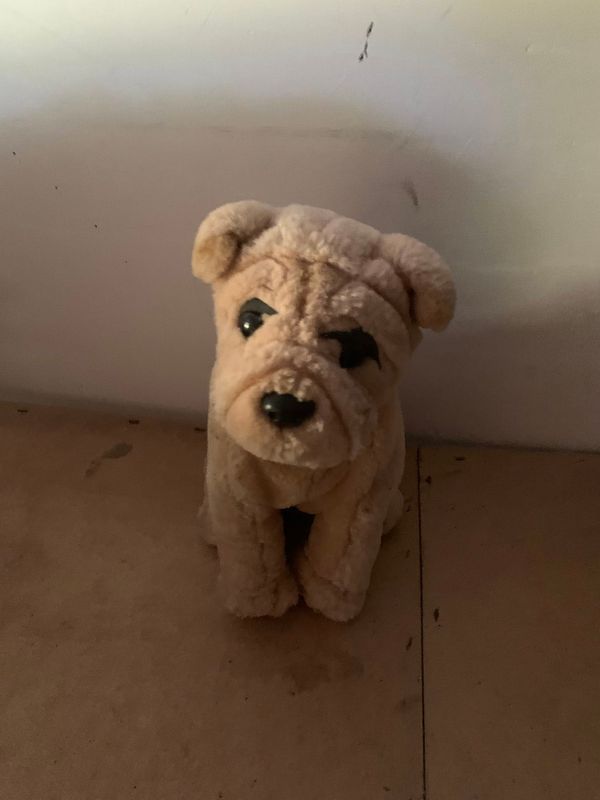 Teddy