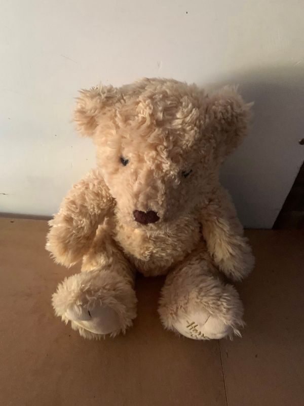 Teddy