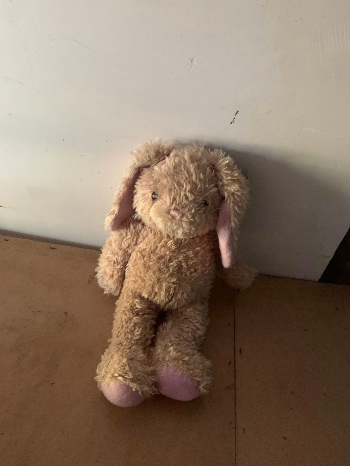 Teddy