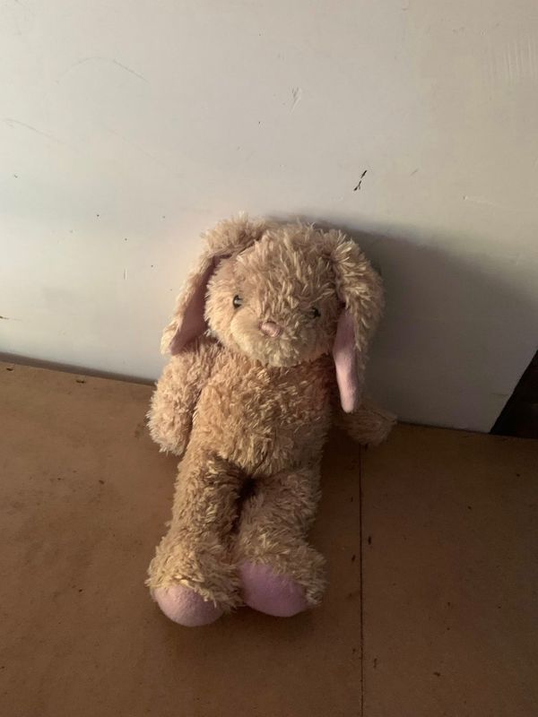 Teddy