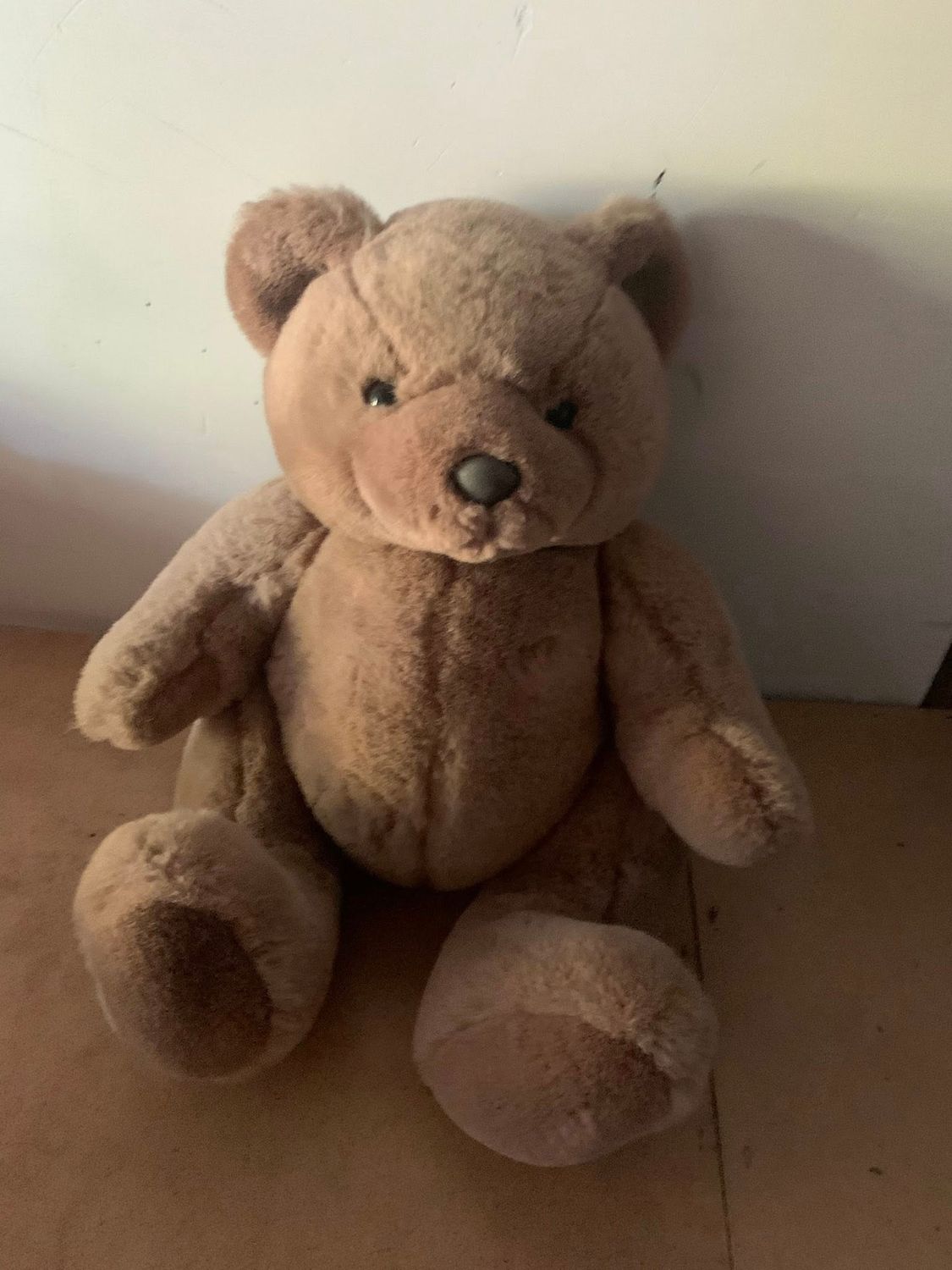 Teddy