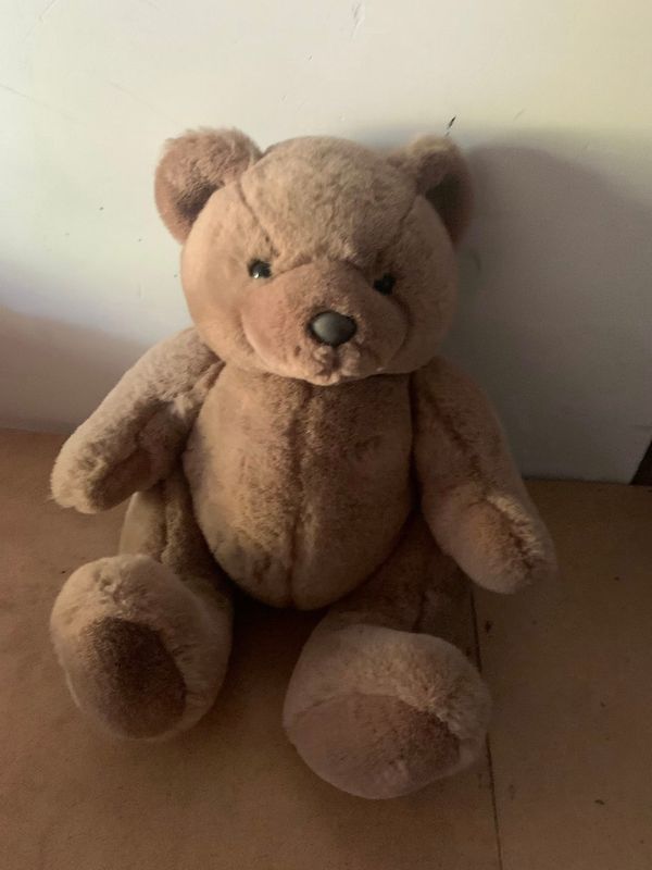 Teddy