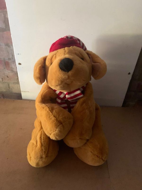 Teddy