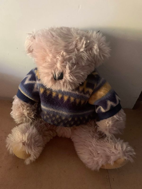 Teddy