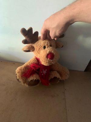 Teddy