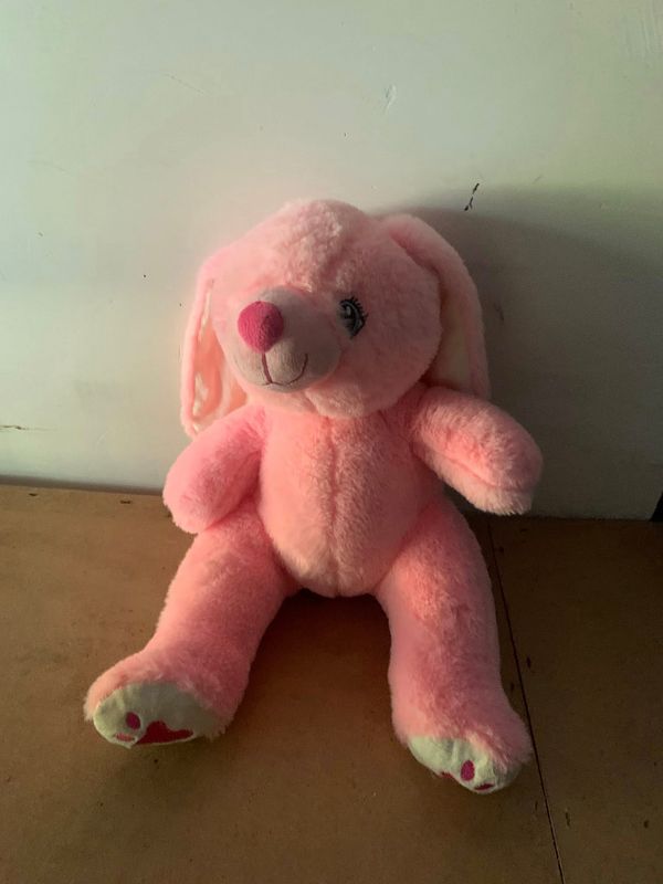Teddy