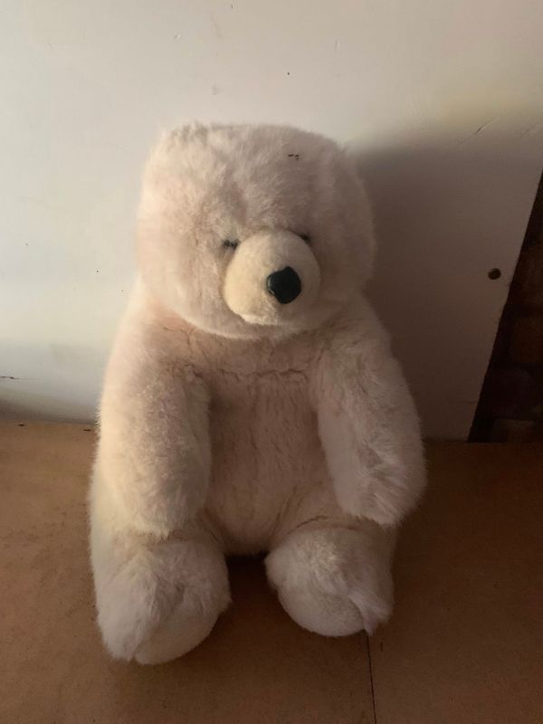 Teddy
