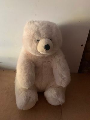 Teddy