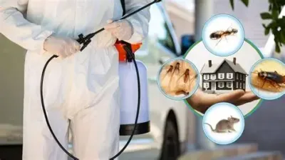 Pest Control