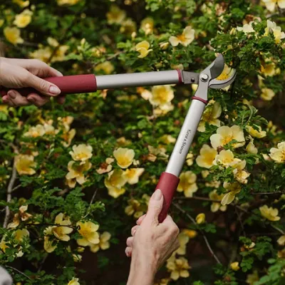 Cutting &amp; Pruning